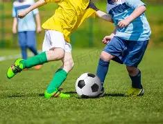 新奥尔良鹈,菲尼克斯太,常规赛前瞻,爱游戏app,爱游戏官网,爱游戏体育官网,爱游戏体育app